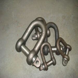 Dee Shackles